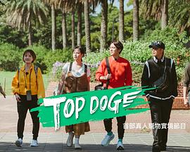 51情报站《TOP DOG》免费在线观看