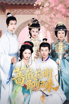 51品茶《蔷薇花谢即归来》免费在线观看