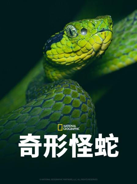 51成人导航《奇形怪蛇》免费在线观看